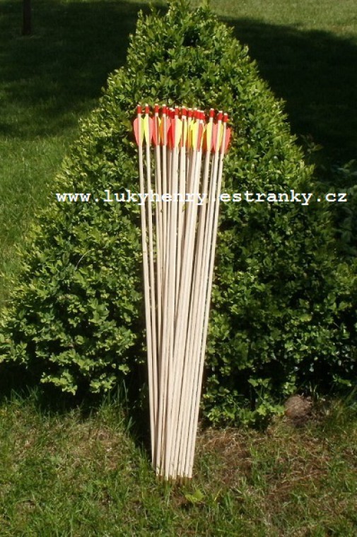 Luky a Šípy HENRY - Eshop - 6 Luky dětské - Šípy 55cm dřevěné.