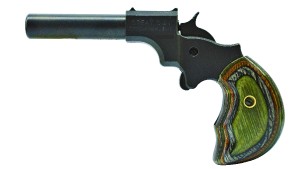 ggun1.jpg