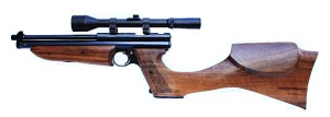 www.lukyasipy-henry.cz-pazba---crosman---1377.jpg..jpg